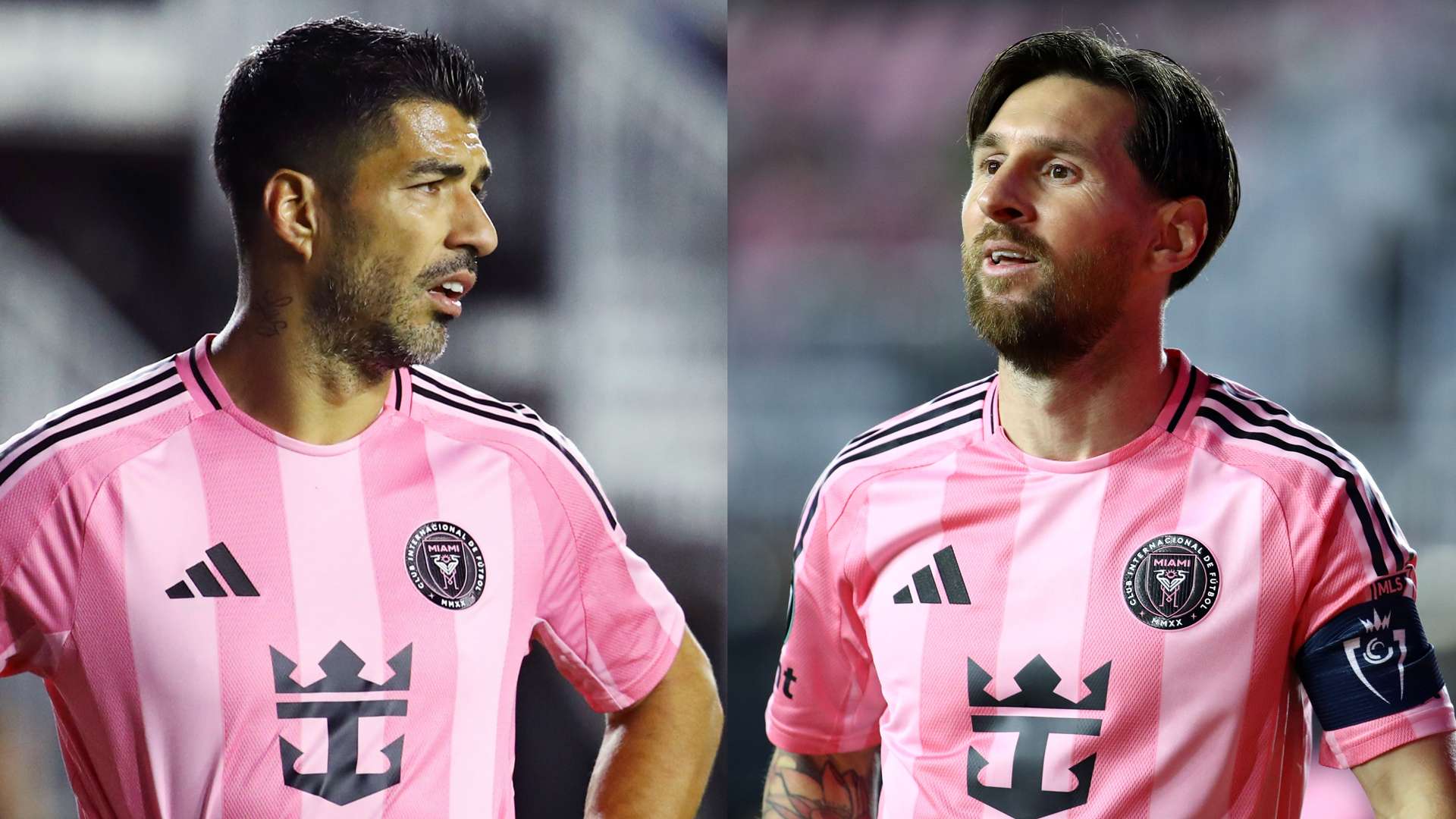 社会的支持 社会的支持